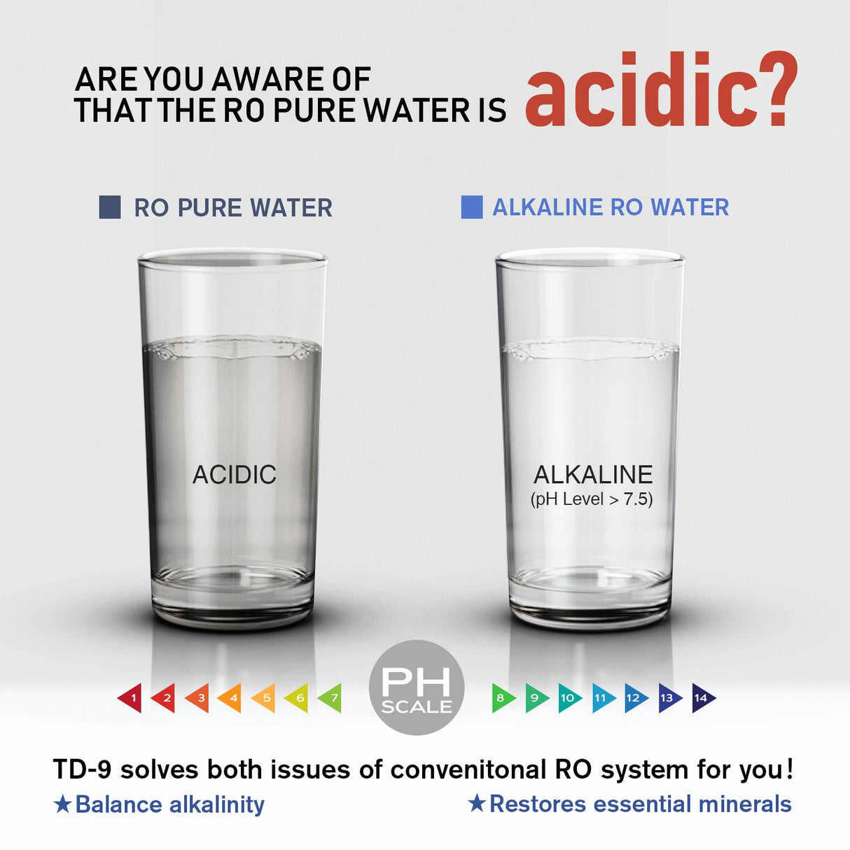 Frizzlife TD-9 Alkaline Remineralization Under Sink Inline Water Filter - Post Filter for RO Reverse Osmosis System