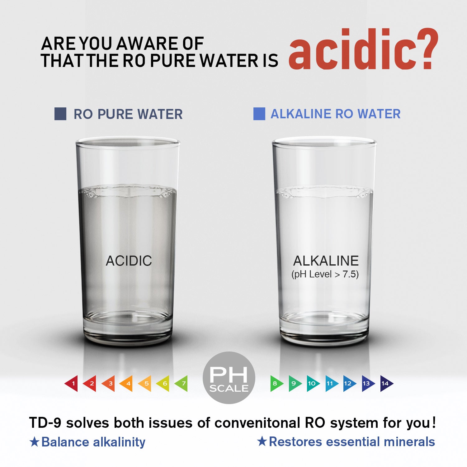 Frizzlife TD-9 Alkaline Remineralization Under Sink Inline Water Filter - Post Filter for RO Reverse Osmosis System