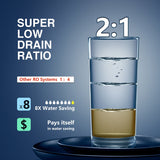 PD1000-TAM4 RO System with an Extra TWO-Year Filter Combo