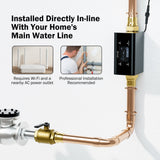 Frizzlife LP365/LP365-P Smart Water Monitor and Automatic Shutoff Sensor,LP365/LP369-P